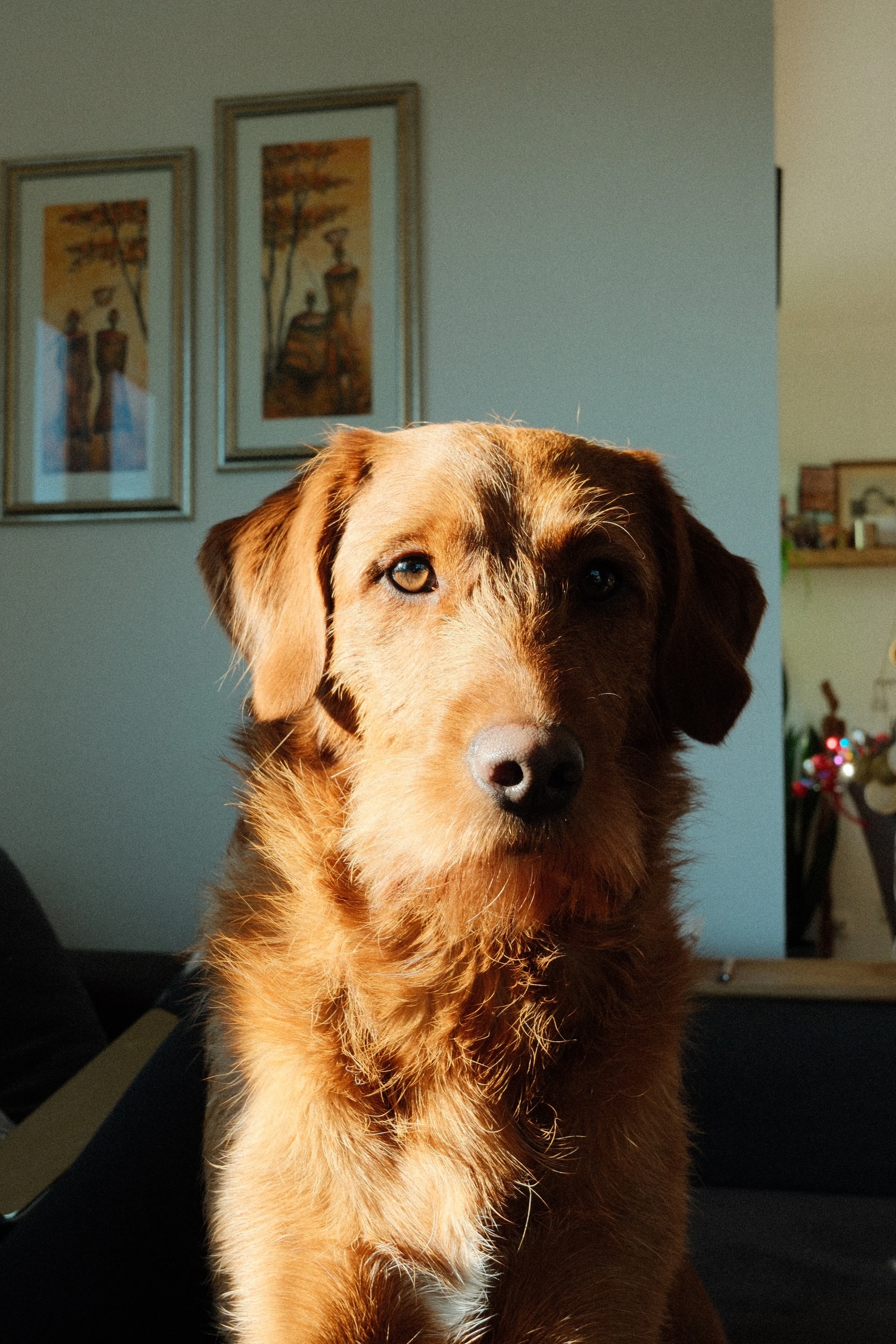 Emma, fotografiert von Fabian Deragisch